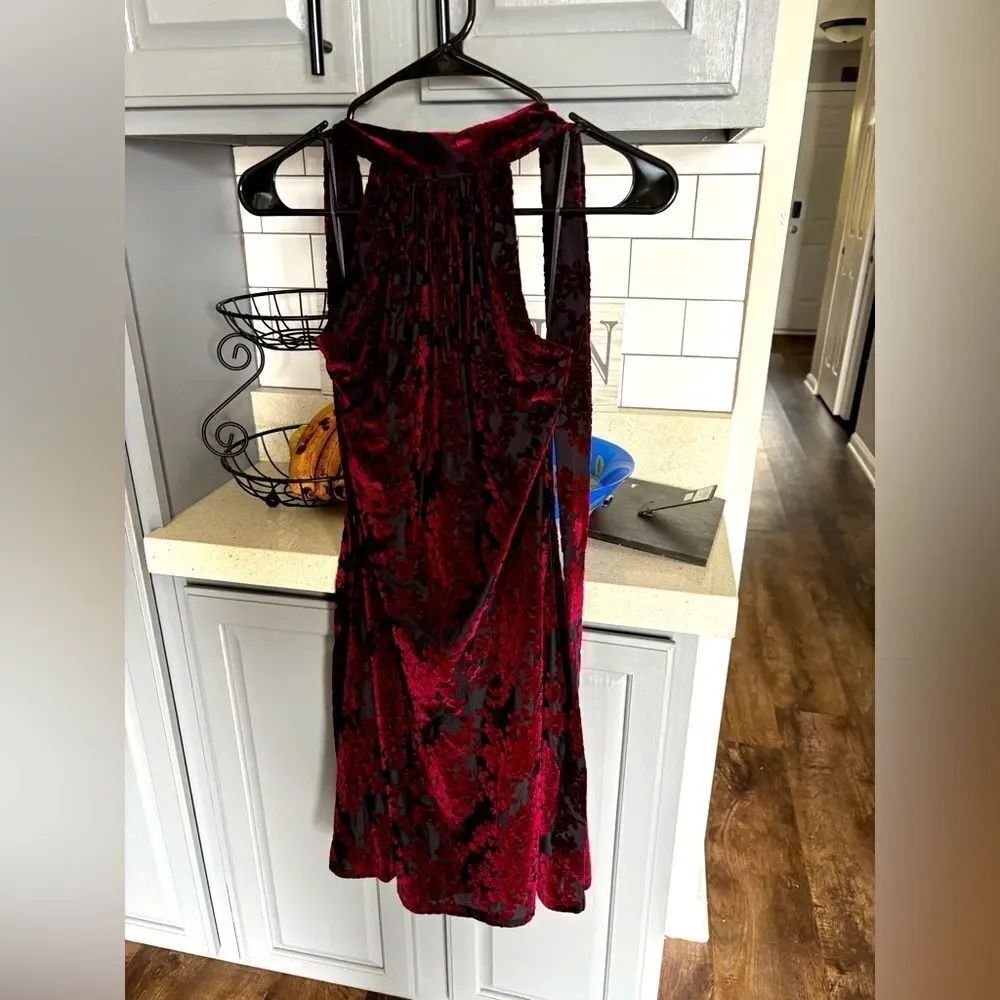 Dress the Population Velvet Backless Dress in Red and Black